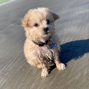 Meet your Posher, Madison